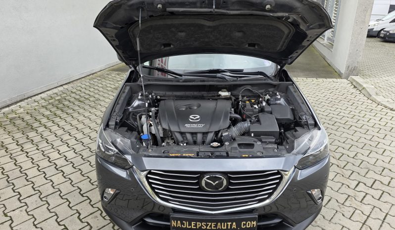 
								4×4 Selection AWD – EUROPA full									