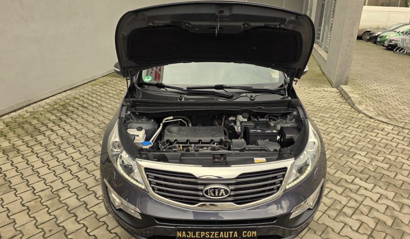 
								Kamera Nawigacja Skóra Panorama full									